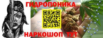 apvp Пенза